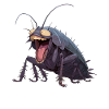 Cockroach cockroaches cockroach