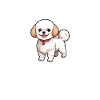 Cadeaux Bichon Frisé