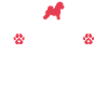 Cadeaux Bichon Frisé