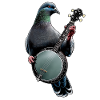 Pigeon Bird Bluegrass Banjo Player