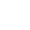 Pavian Skull