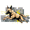 Malinois Dog Jumping