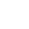 Braque du Bourbonnais
