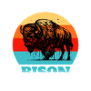 Buffalo Bison