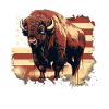 American Bison