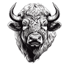 Bison