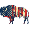Bison