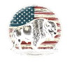 American Bison