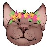 Chat estival