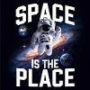 Space is the Place