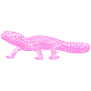 Leopard gecko
