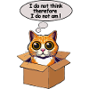 Philosophic cat