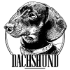 Dachshund Dackel Teckel