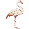 Flamingo Malerisch