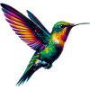 Hummingbird