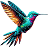 Hummingbird