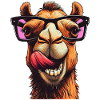 Camel