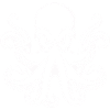 krake octopus