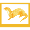 240616 Otter 4