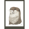 240728 Loutre 3