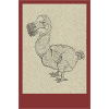 240527 Dodo 2