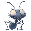 Fourmis fourmi