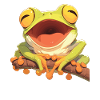 Tree Frog Laubfrösche Laubfrosch