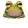 Toad Toads Toad