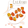 Physalis