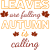 L’automne est l’appel