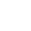 Sim Racing