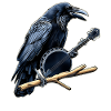 Raven Crow Bluegrass Banjo Player