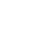 Sim Racing