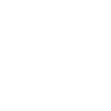 Sim Racing