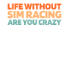 Sim Racing