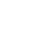 Flight of the Butterfly