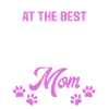 Cadeaux Bichon Frisé