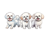 Cadeaux Bichon Frisé