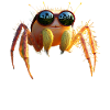 Spider Tarantula Love Arachnid Spiders