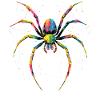 Spider Tarantula Love Arachnid Spiders