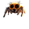 Spider Tarantula Love Arachnid Spiders