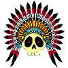 Indian Chief Skull