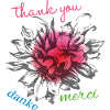 Danke Thank You Merci
