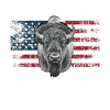 Bison US