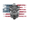 Bison pour la présidence