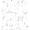 Best Dad And Metal Head