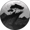 Asian landscape