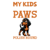 Papa polonais