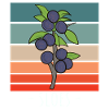 Fruit Sloe Autumn