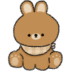 Cute bunny